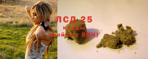 дмт Сатка