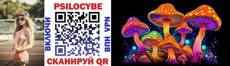 Купить где  Лесной  Псилоцибиновые грибы мицелий 